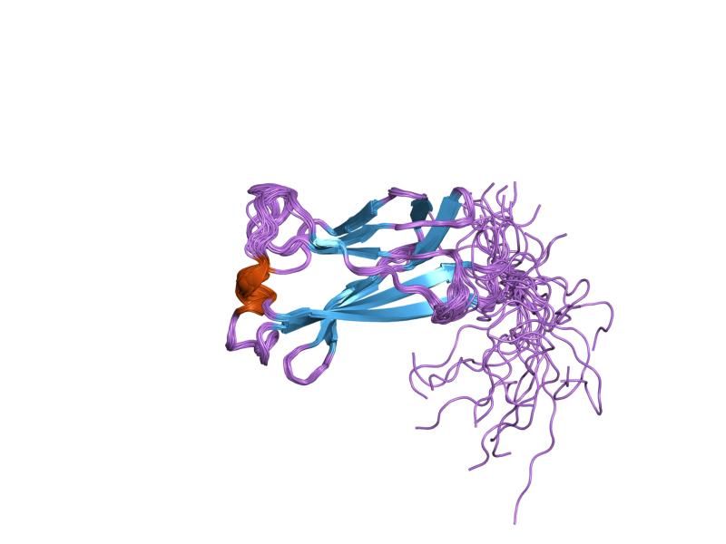 File:PDB 2cr2 EBI.jpg