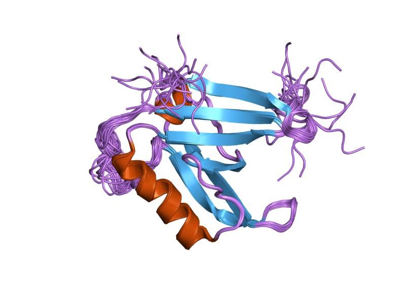 File:PDB 2css EBI.jpg