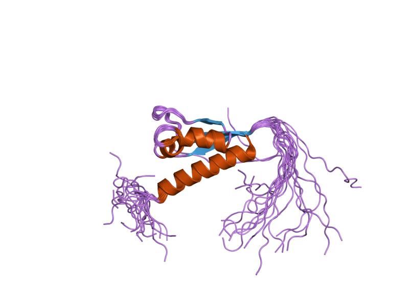 File:PDB 2cte EBI.jpg