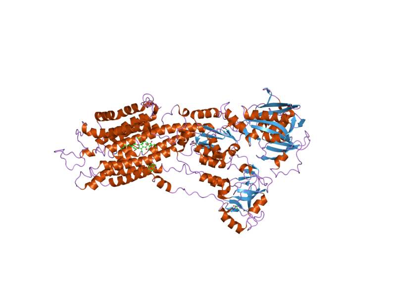 File:PDB 2eat EBI.png