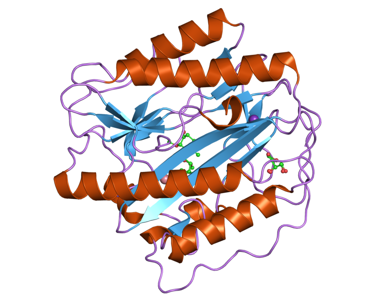 File:PDB 2gz5 EBI.png