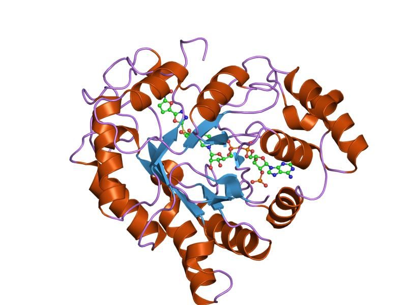 File:PDB 2ikh EBI.jpg