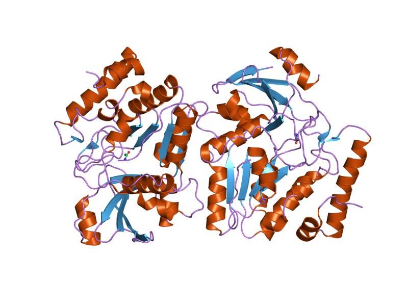 File:PDB 2j8x EBI.jpg