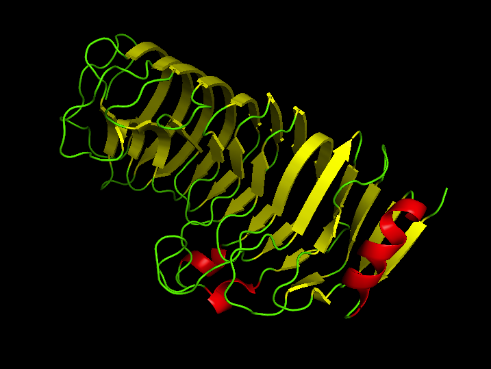 File:Polygalacturonase.png