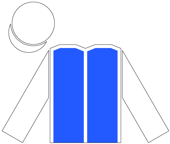 File:Racing silks of Wertheimer family.png