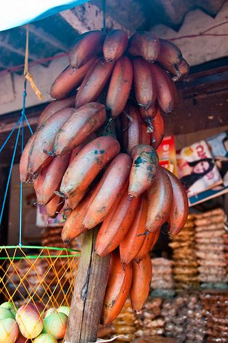 File:Red Banana of Anakkara.jpg