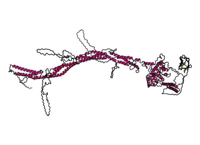 File:Secondary structure of FHAD1.png