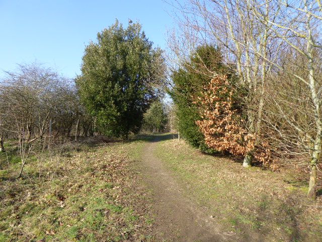 File:West Park, Uckfield (6).jpg