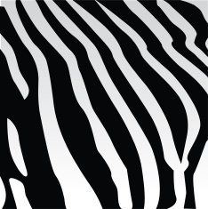 File:Zebra print with blur effect.jpg