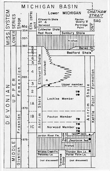 File:AntrimShaleStratigraphicChart.JPG