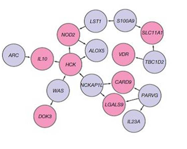 File:Associatedloci.png