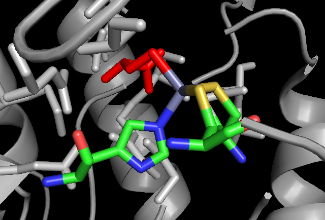 File:Homocysteine Binding Site.png