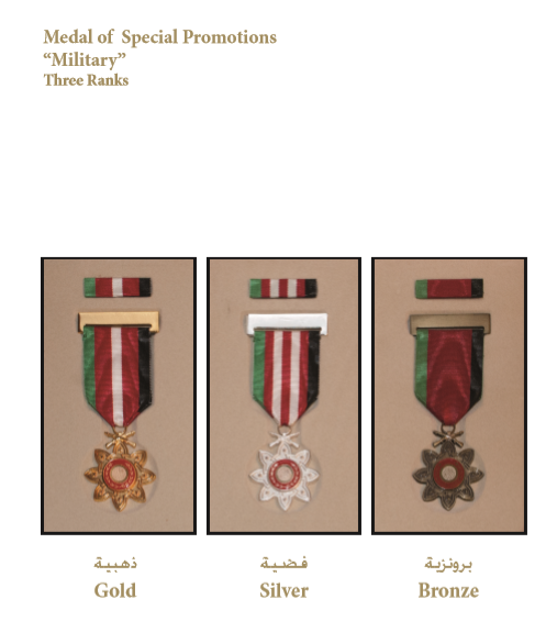 File:Medal of Special Promotions.png