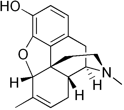 File:Methyldesorphine.png