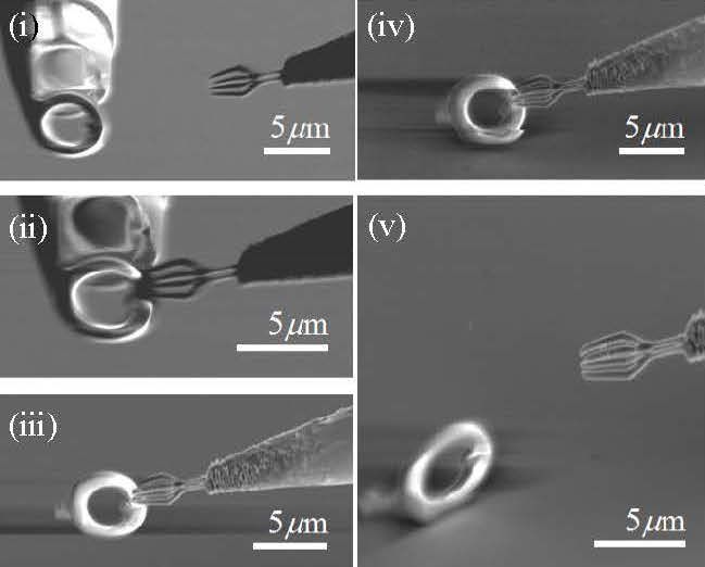 File:Nanomanipulation.jpg