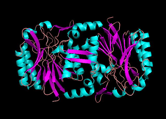 File:Omega-Amidase.png