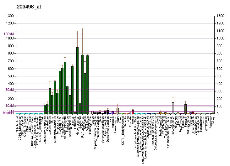 File:PBB GE DSCR1L1 203498 at fs.png