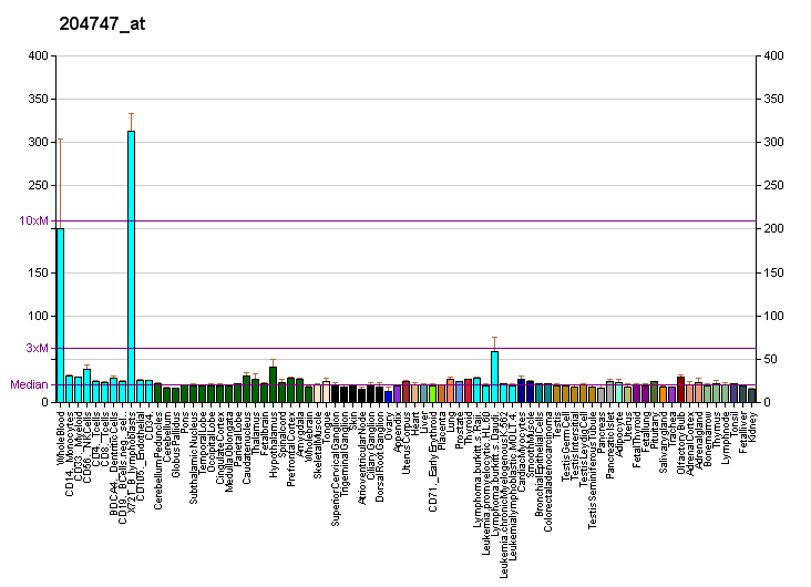 File:PBB GE IFIT3 204747 at fs.png