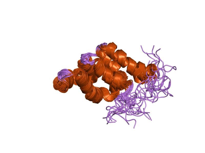 File:PDB 1e41 EBI.jpg