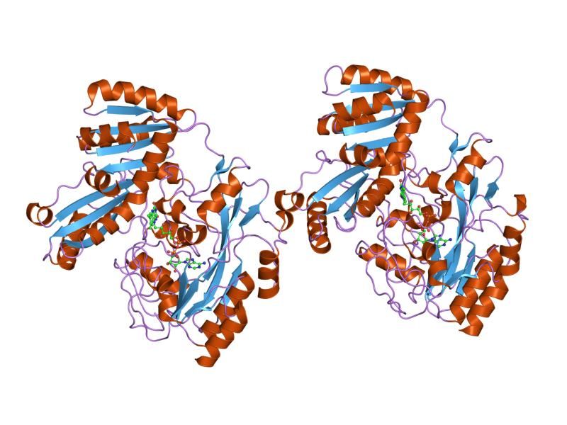 File:PDB 1f0x EBI.jpg