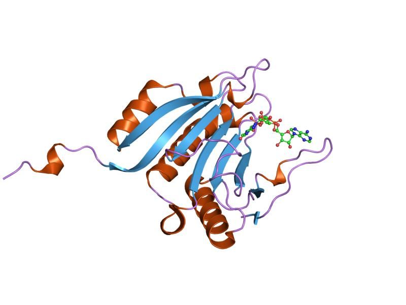 File:PDB 1ipb EBI.jpg