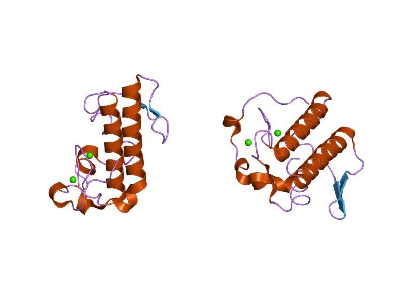 File:PDB 1n28 EBI.jpg