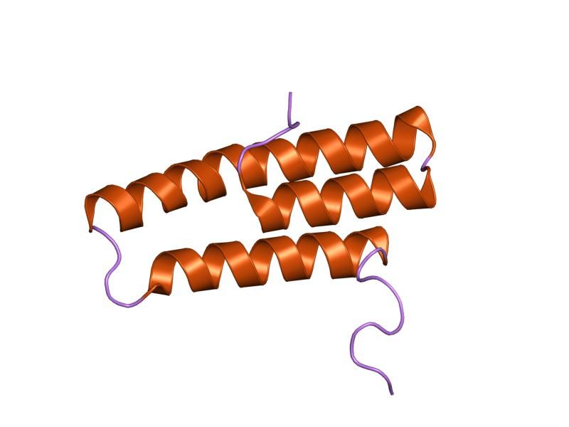 File:PDB 1op1 EBI.jpg