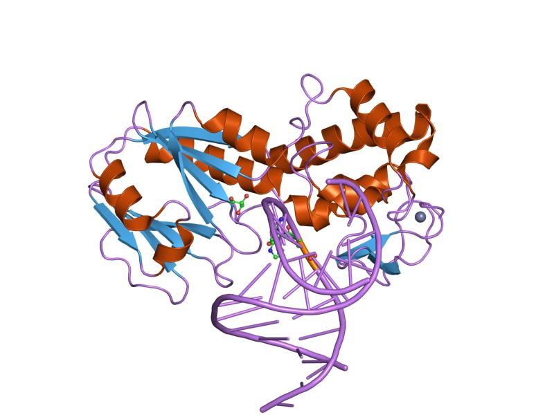 File:PDB 1tdz EBI.jpg