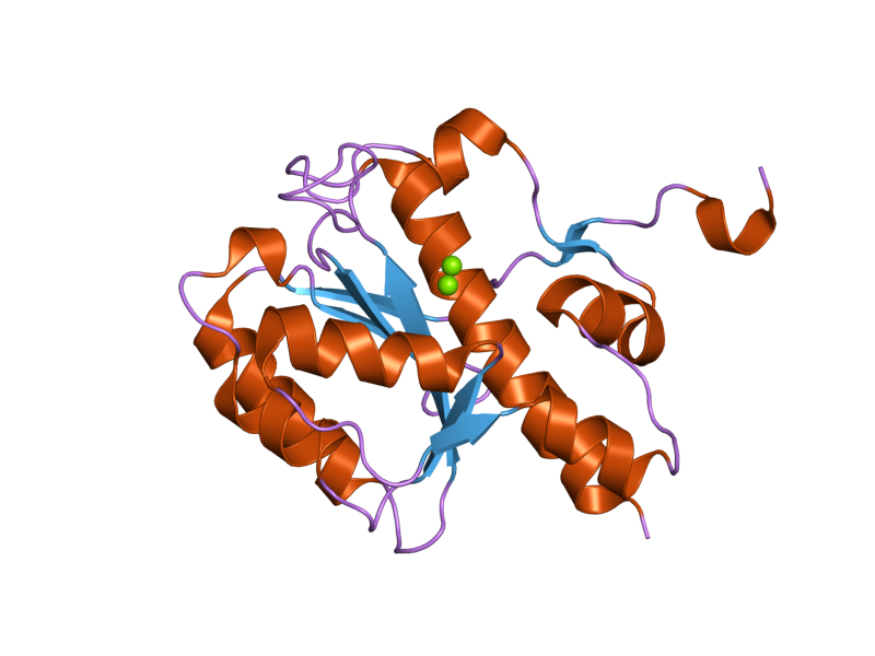 File:PDB 2fbx EBI.png