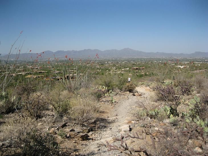 File:Pima Canyon Tucson Range.JPG