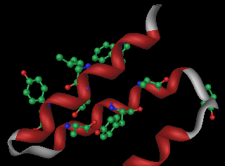 TPR domain, visual 2