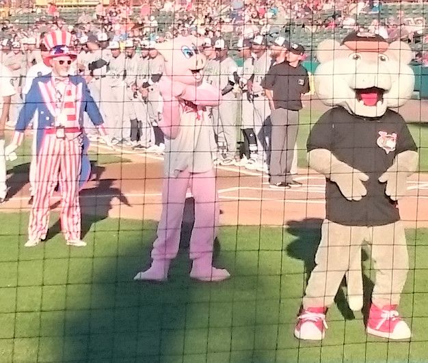 File:Tri-City ValleyCats - mascots.jpg