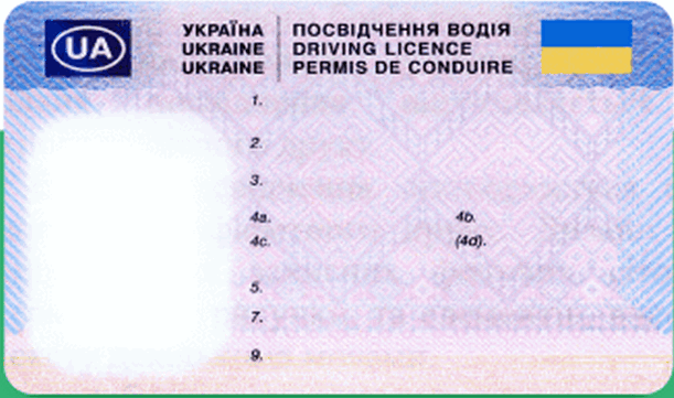 File:Ukrainian driving license issued since 2021.png