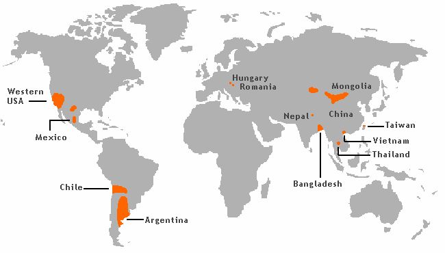 File:Arsenic contamination areas.jpg