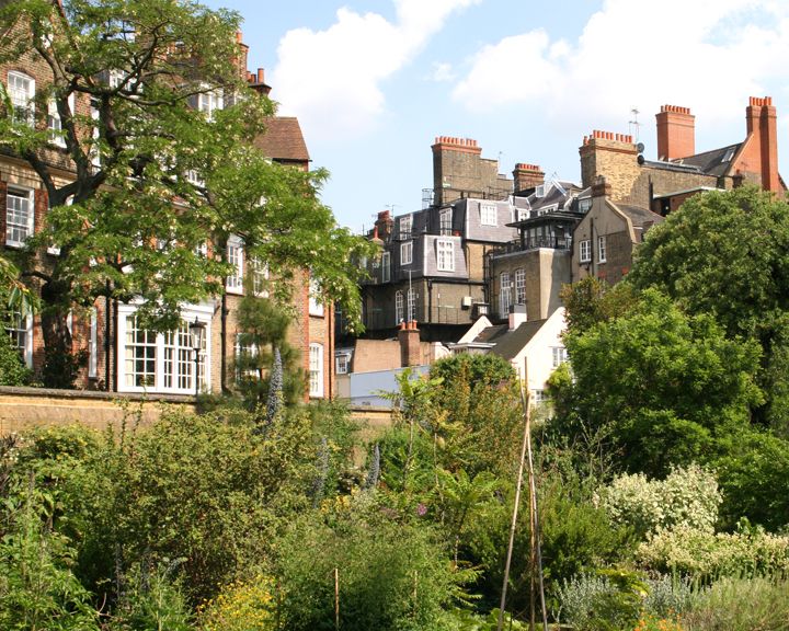 File:Chelsea Physic Garden with house.jpg