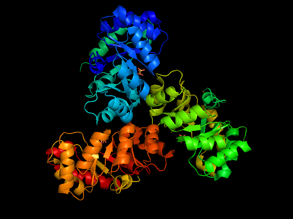 File:KDPG Aldolase Structure.png