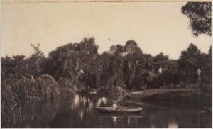 File:Lake at the Adelaide Botanic Gardens.jpg