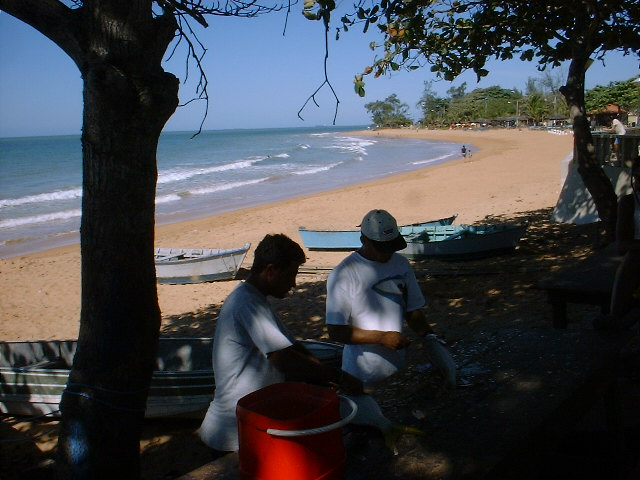 File:Manguinhos Beach Fisher Market.PNG