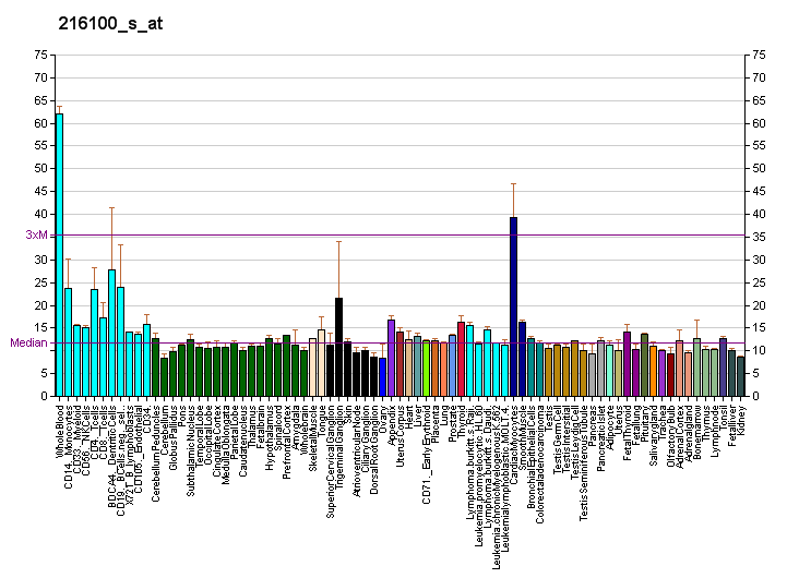 File:PBB GE TOR1AIP1 216100 s at fs.png