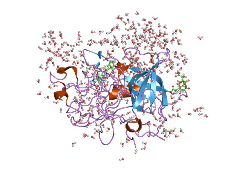 File:PDB 1gi8 EBI.jpg