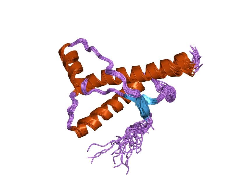 File:PDB 1h0l EBI.jpg