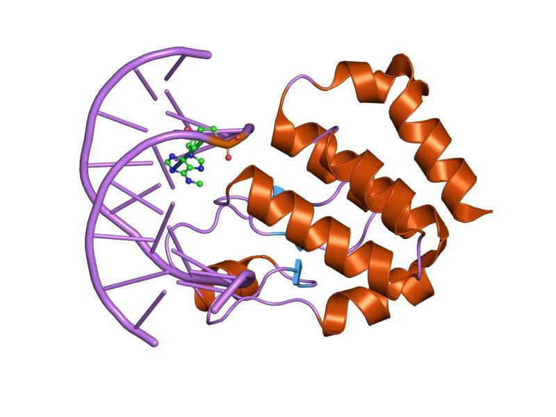 File:PDB 1j3e EBI.jpg