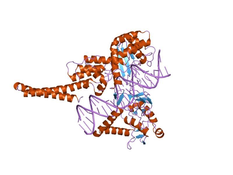 File:PDB 1r49 EBI.jpg