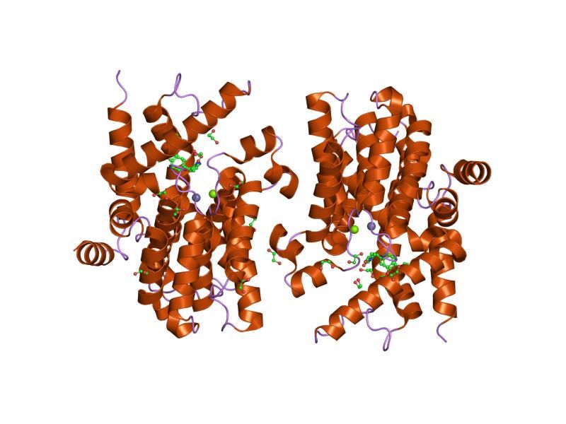 File:PDB 1tbb EBI.jpg