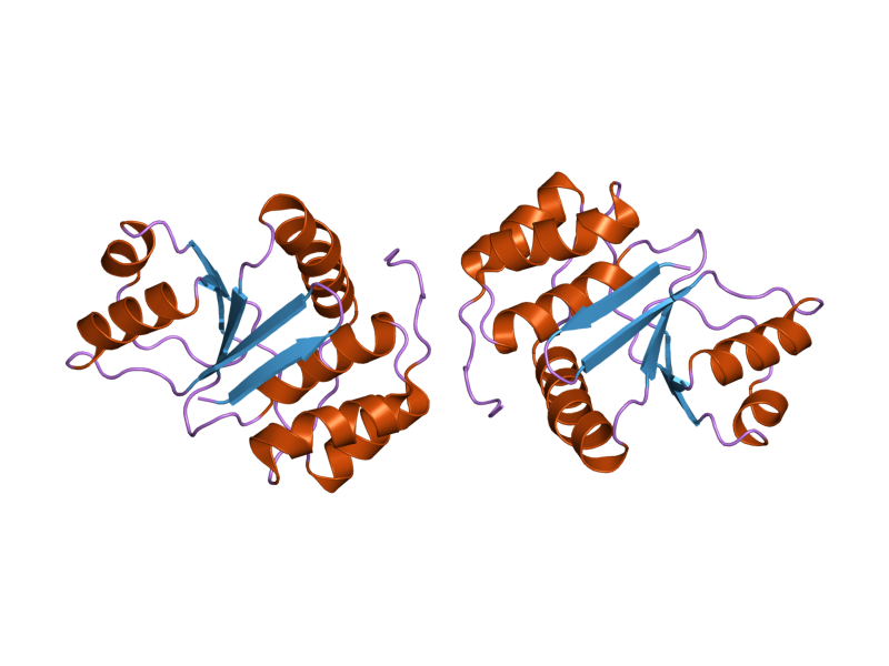 File:PDB 1x24 EBI.png