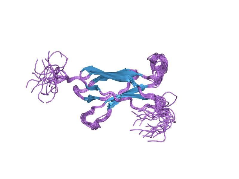 File:PDB 1x5j EBI.jpg