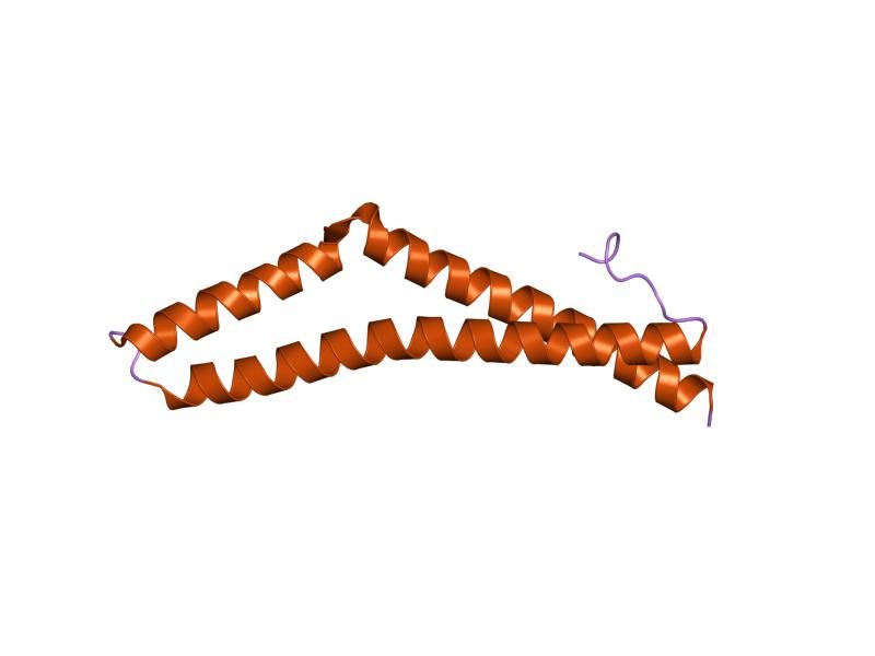 File:PDB 1xaw EBI.jpg