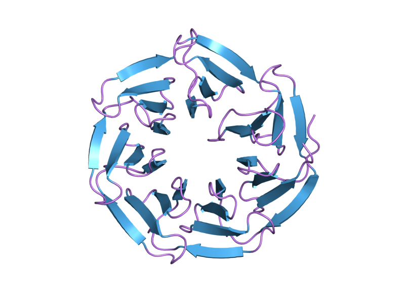 File:PDB 2h14 EBI.png