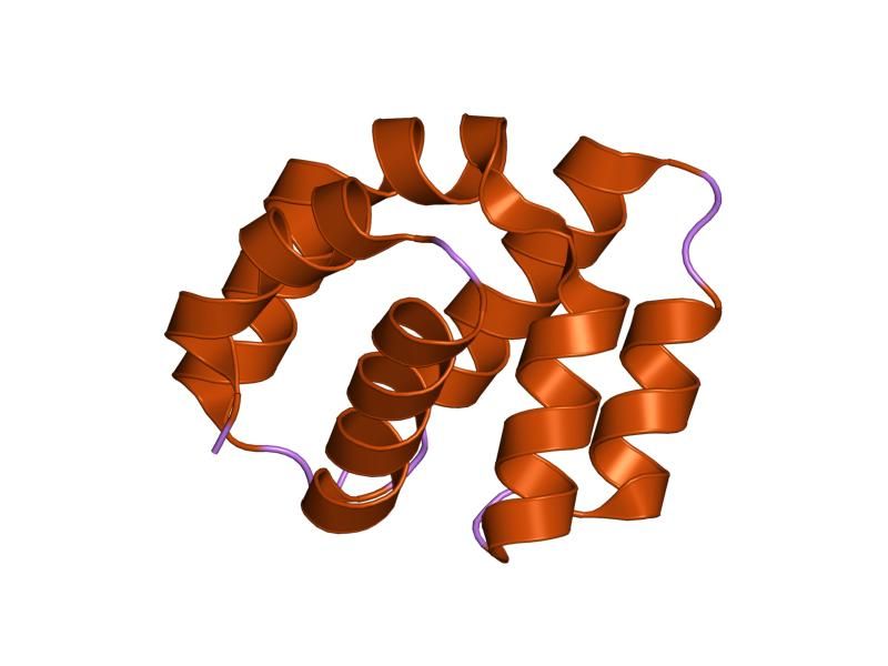 File:PDB 2p1h EBI.jpg