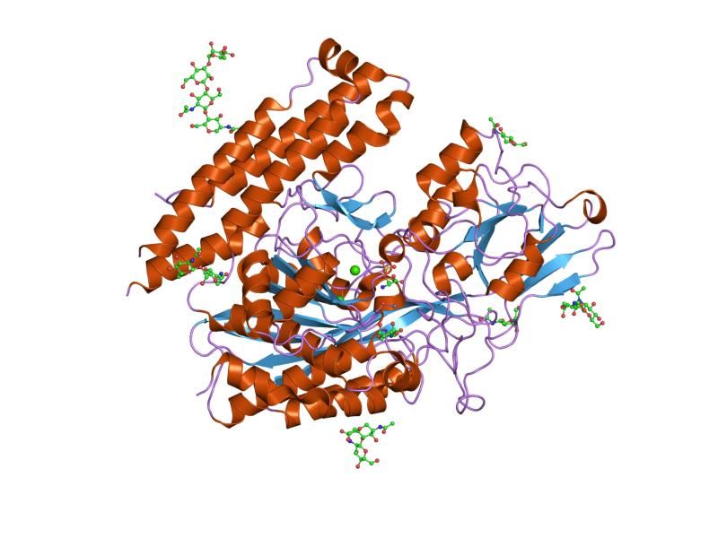 File:PDB 2pvv EBI.jpg